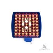 copy of Inkubaator kuni 24 munale