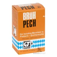 Lindude transpordi puur