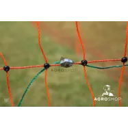 Lindude transpordi puur