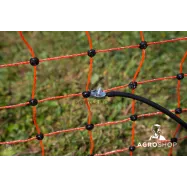 Lindude transpordi puur