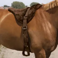Riding pad Confort Norton