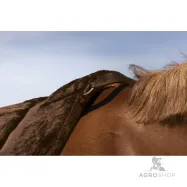 Riding pad Confort Norton