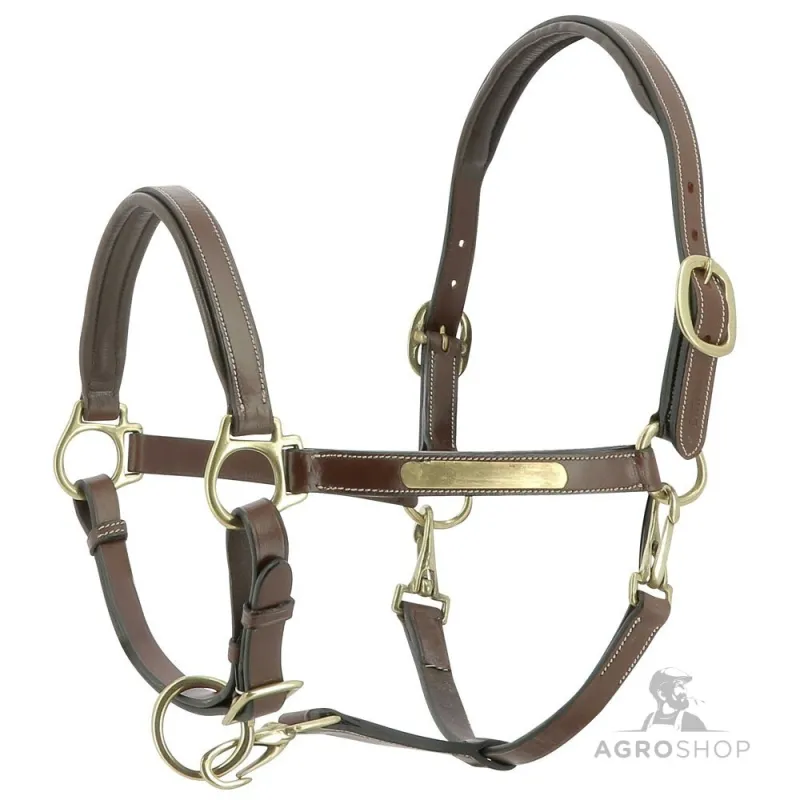 Leather Halter Grooming Eric Thomas Pro