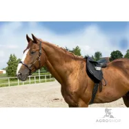 Leather Halter Grooming Eric Thomas Pro