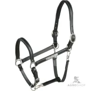 Leather Halter Grooming Eric Thomas Pro