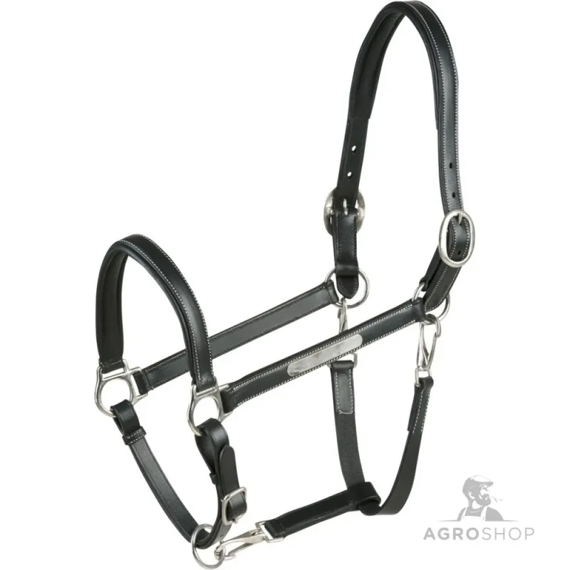 Leather Halter Grooming Eric Thomas Pro