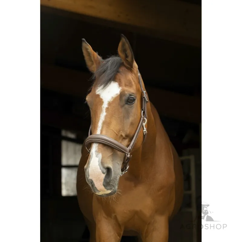 Leather Halter Anatomical Norton Pro