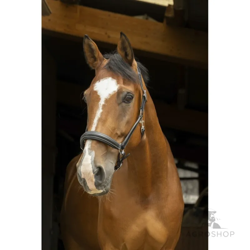 Leather Halter Anatomical Norton Pro