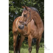 Leather Halter Grooming Norton Pro