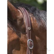 Leather Halter Grooming Norton Pro