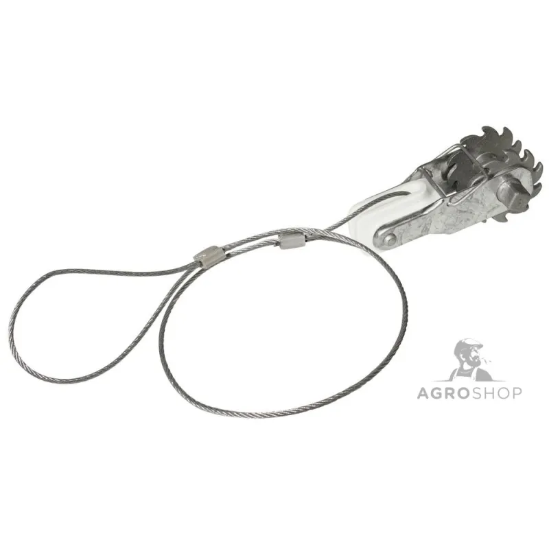 copy of Traadipinguti