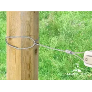 copy of Traadipinguti