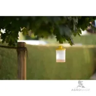 Fly Trap FlyCage3 Cit