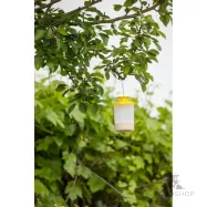 Fly Trap FlyCage3 Cit