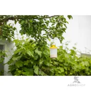 Fly attractant FlyCage Cit