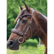 Anatomic Cavesson Waldhausen