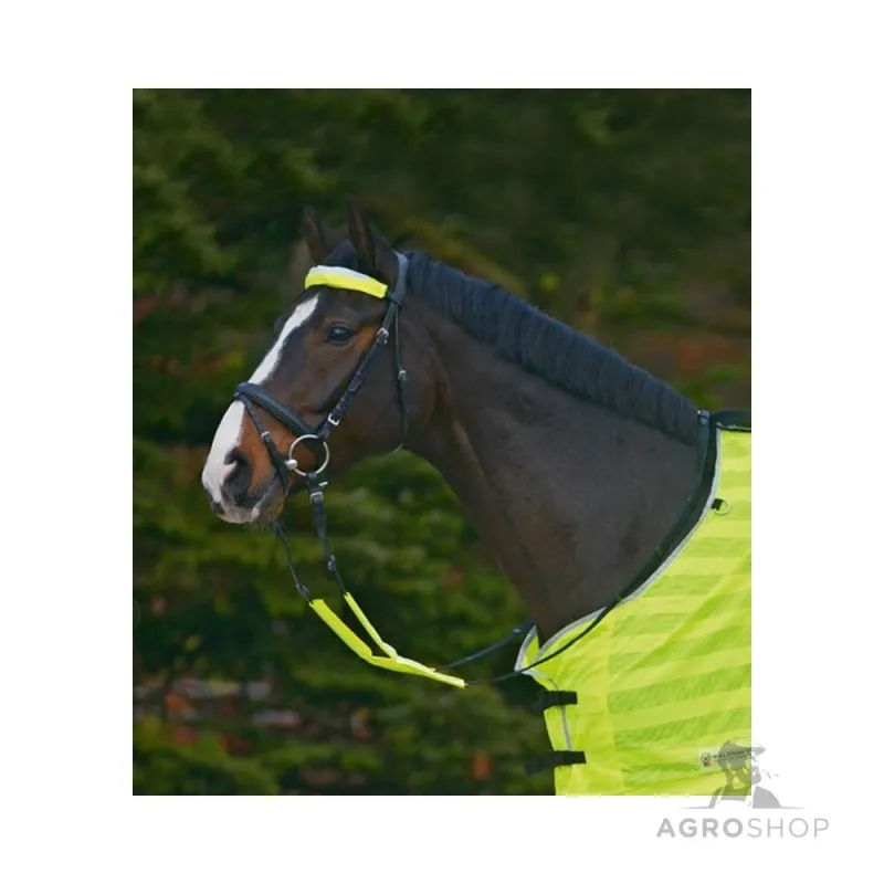 Bridle Set Reflex Waldhausen