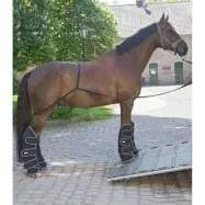 Transport aid Waldhausen