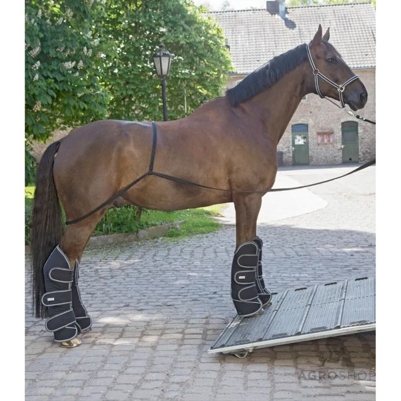 Transport aid Waldhausen