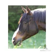 Fly Fringe with head part Waldhausen