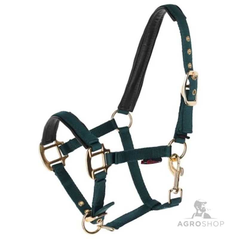 Foal halter Topline Covalliero