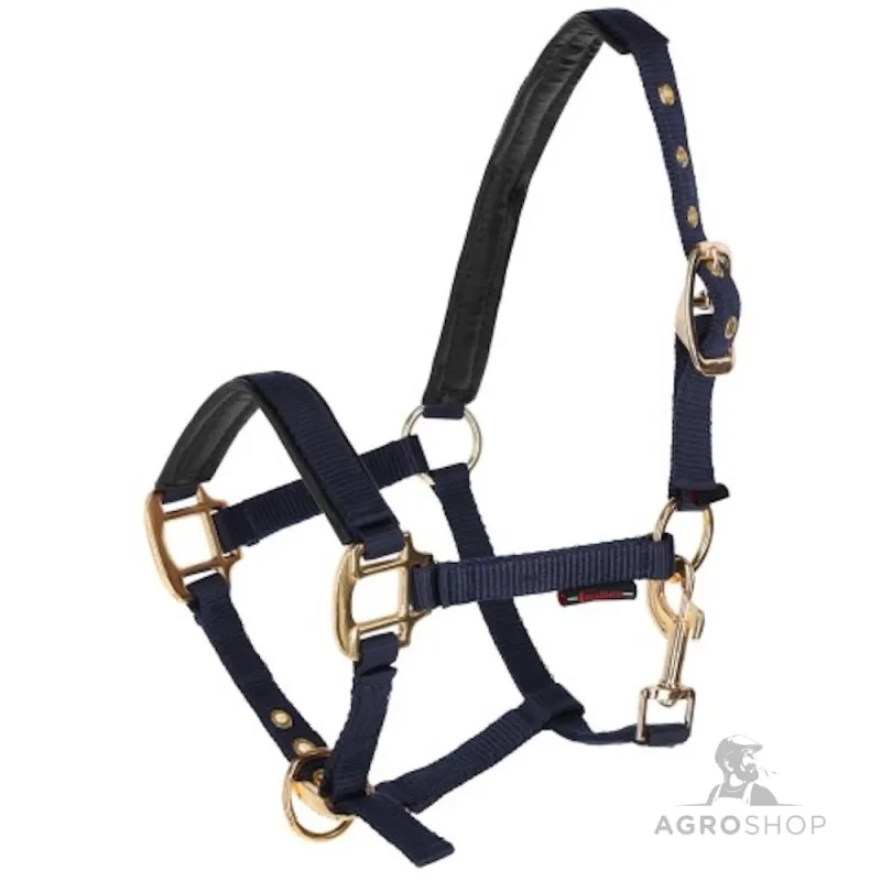 Foal halter Topline Covalliero