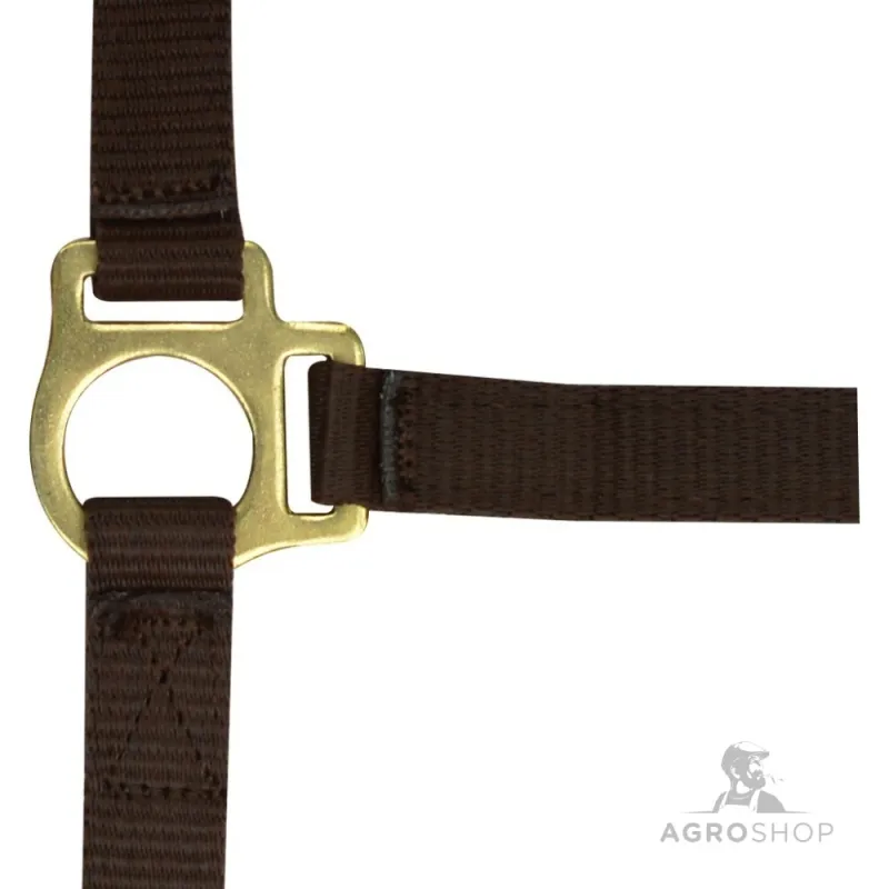 Foal headcollar + lead rope Norton