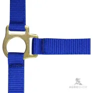 Foal headcollar + lead rope Norton