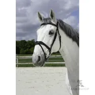 Bridle Vague Norton Pro