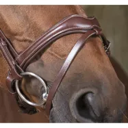 Bridle Vague Norton Pro
