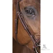 Bridle Vague Norton Pro