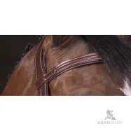 Bridle Vague Norton Pro