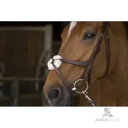 Bridle Crossed Norton Pro