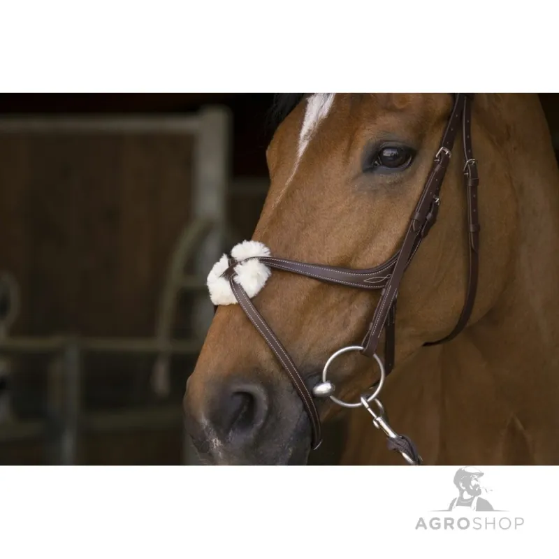 Bridle Crossed Norton Pro