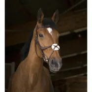 Bridle Crossed Norton Pro