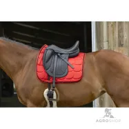 Dressage saddle Satin Equithéme