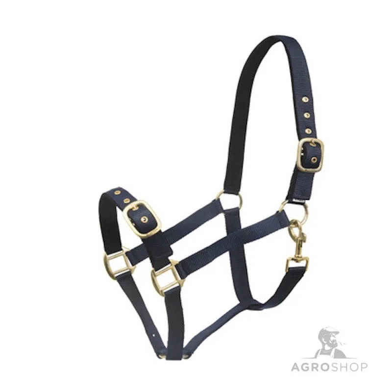 Halter Avery Wahlstén