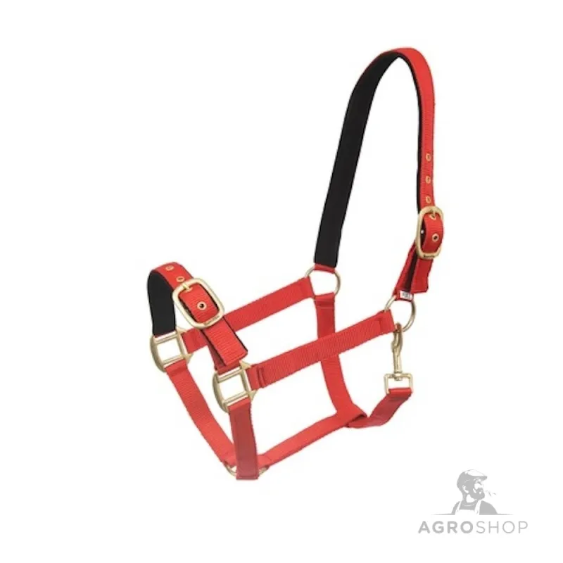 Halter Avery Wahlstén