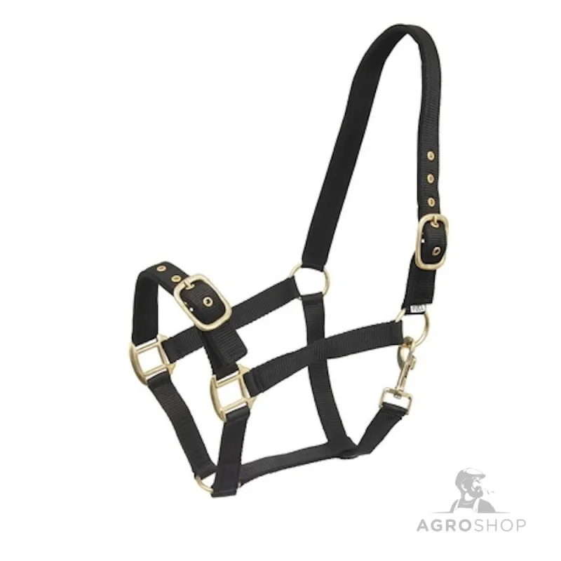 Halter Avery Wahlstén