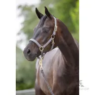 Halter Classy Covalliero