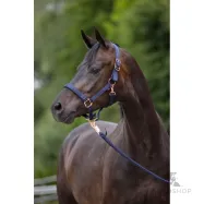 Halter Classy Covalliero