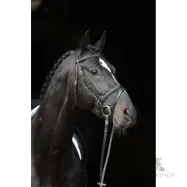 Bridle Standard Covalliero