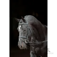 Bridle Classic Covalliero