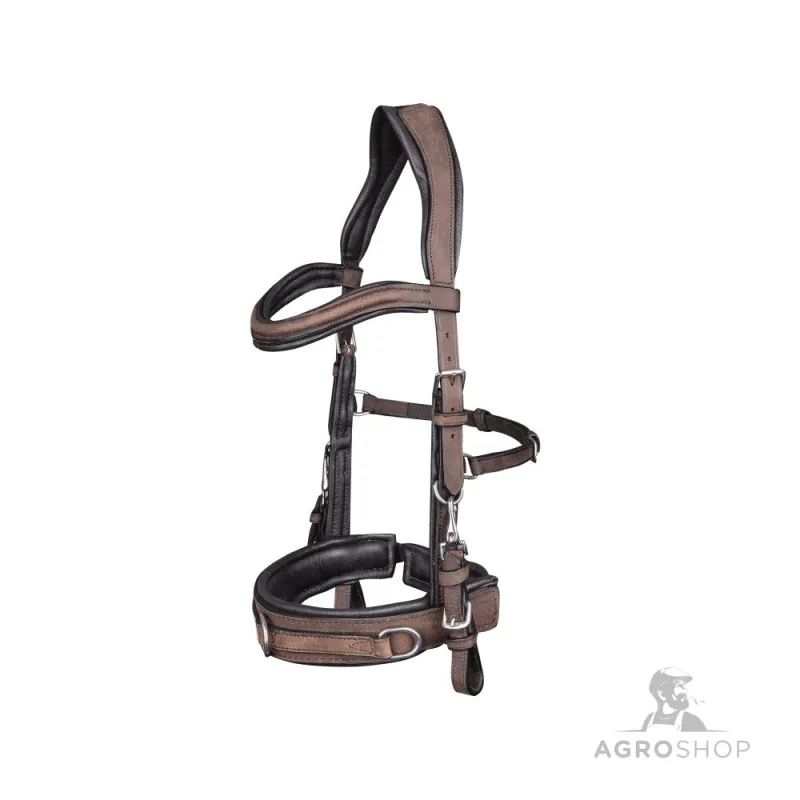 Anatomic Cavesson Waldhausen