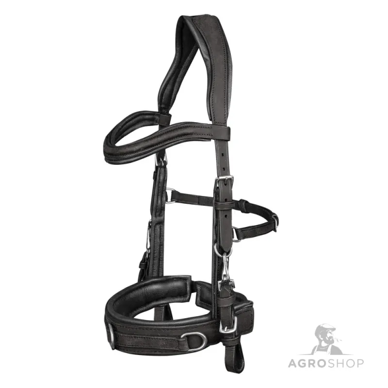 Anatomic Cavesson Waldhausen