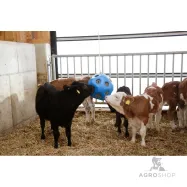 Feed-ball Toy 60mm Kerbl