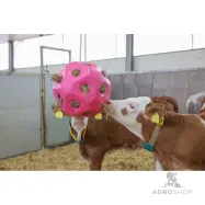 Feed-ball Toy 60mm Kerbl