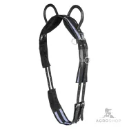 Lunging surcingle Waldhausen