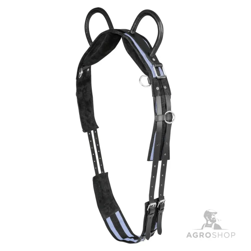 Lunging surcingle Waldhausen