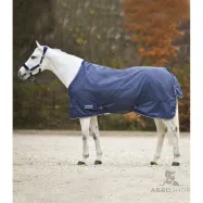 Turnout rug Economic 0g 420D Waldhausen